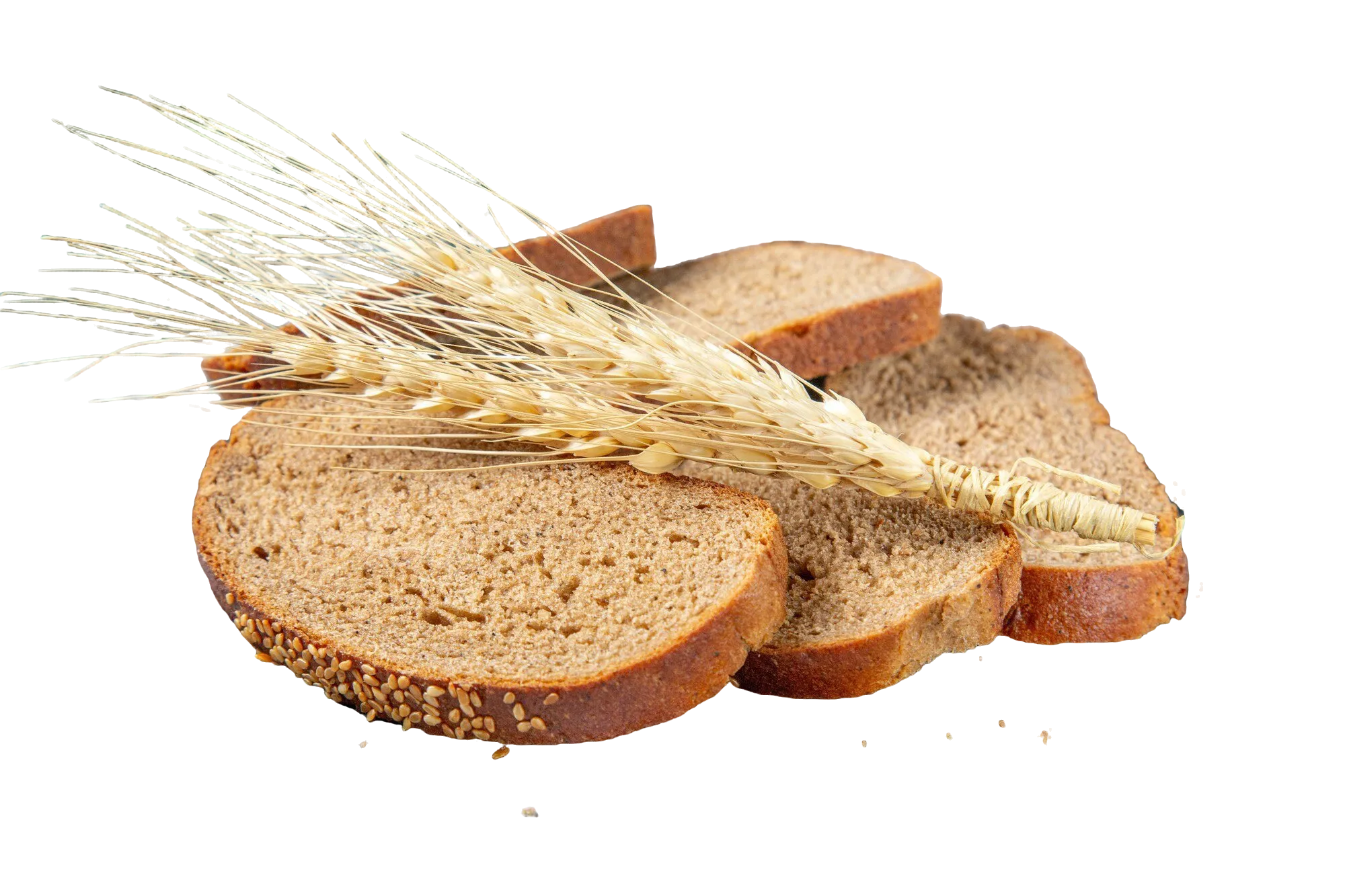 Bread
